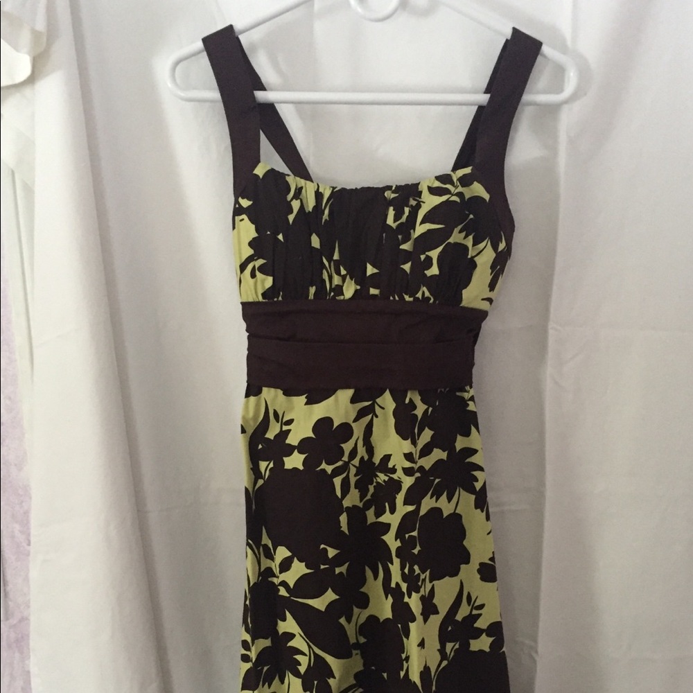 Brown & Mint Spring Dress